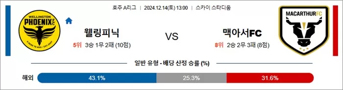 12월 14일 호주A리그 4경기